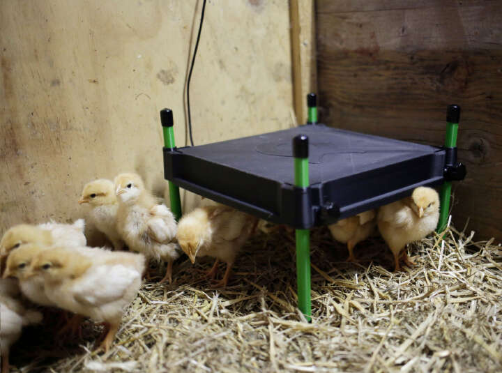 KERBL Wärmeplatte CosyHeat mit integriertem Thermostat